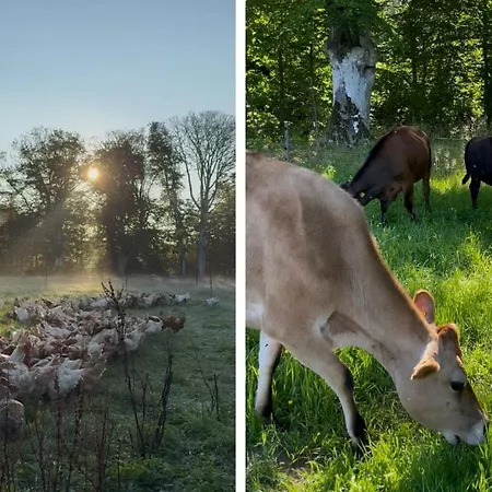 Omfaun Farm & Landsteder Dronninglund