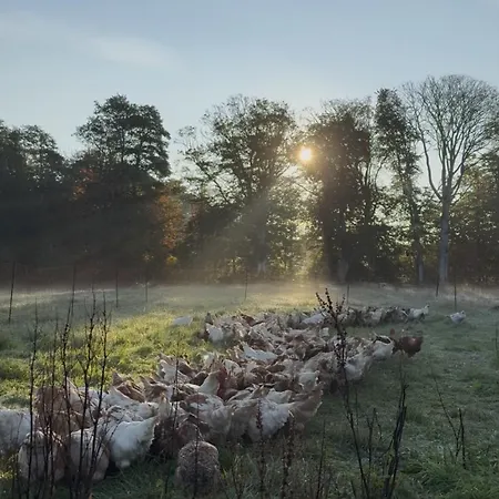 Landsteder Omfaun Farm & *