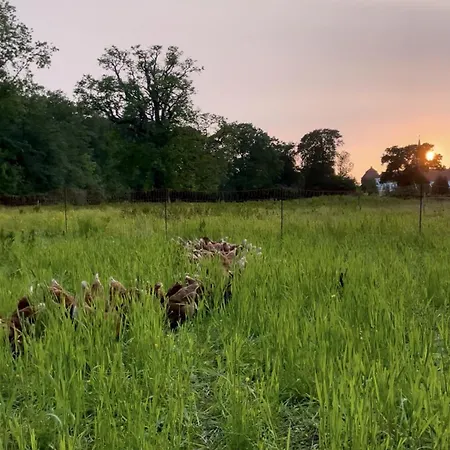 Omfaun Farm & *