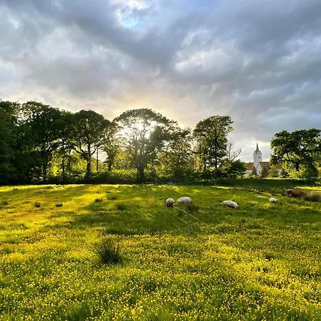 Omfaun Farm &
