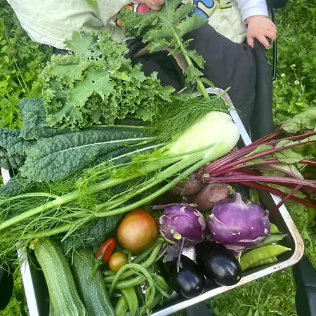 Omfaun Farm & *