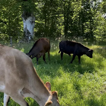 Omfaun Farm & Landsteder *